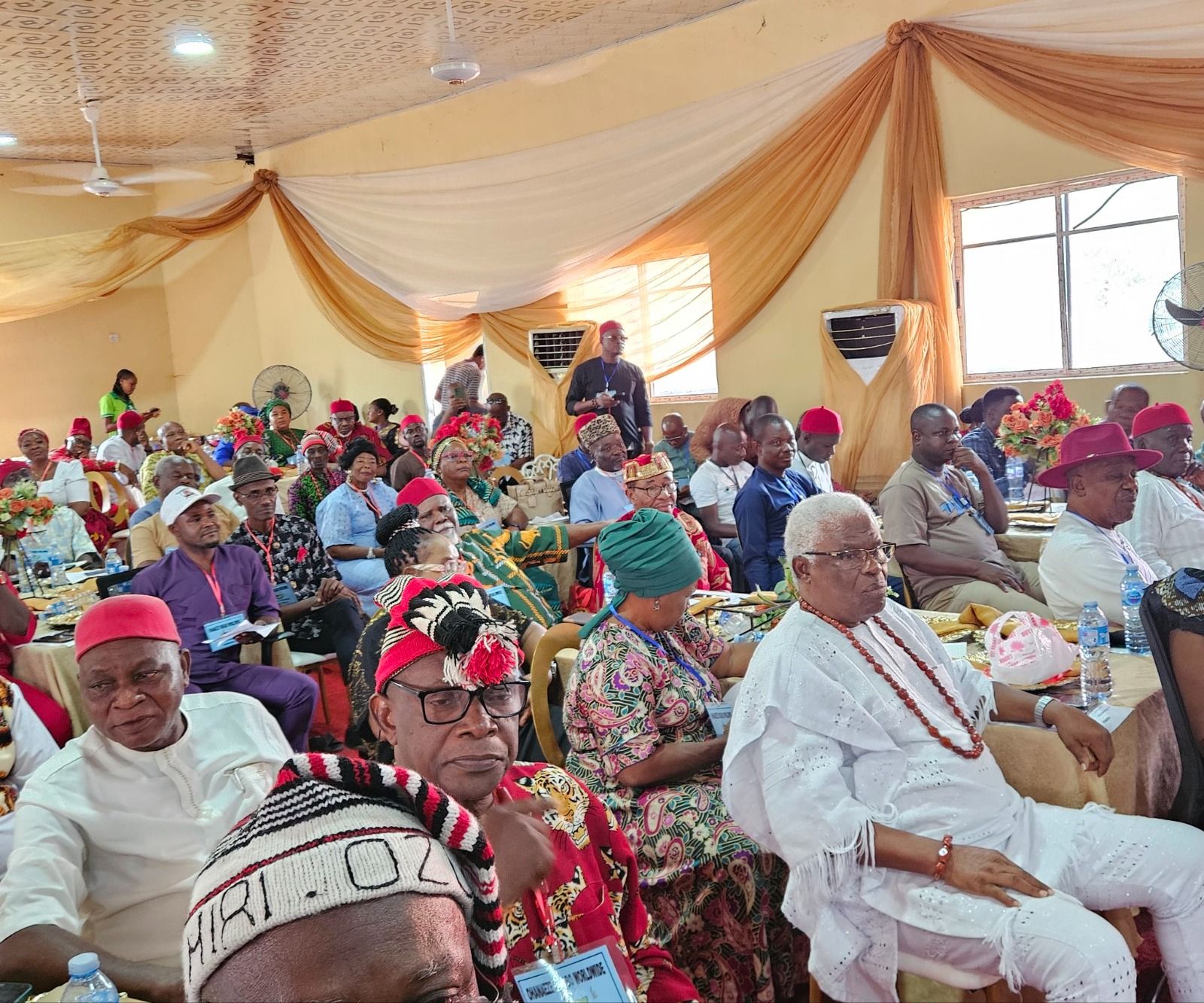 Ohanaeze bans coronation of Eze Ndigbo in diaspora