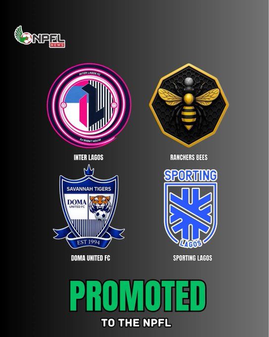 Four private clubs promoted to NPFL
