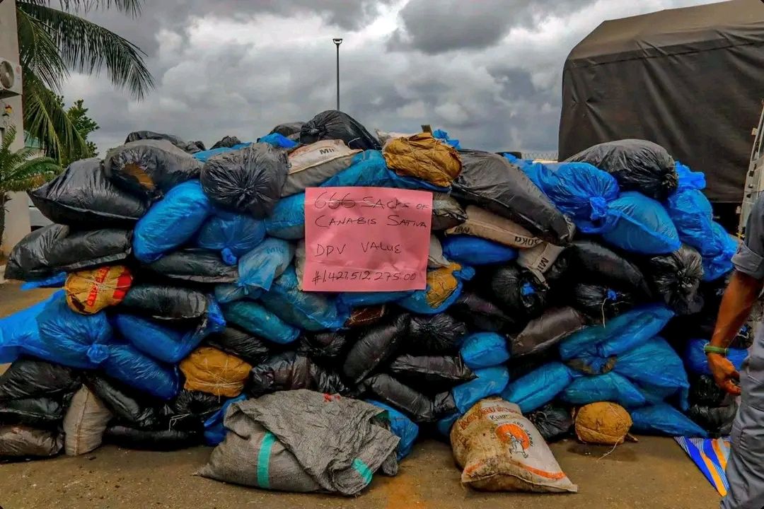 Customs intercepts ₦2.6bn illicit drugs