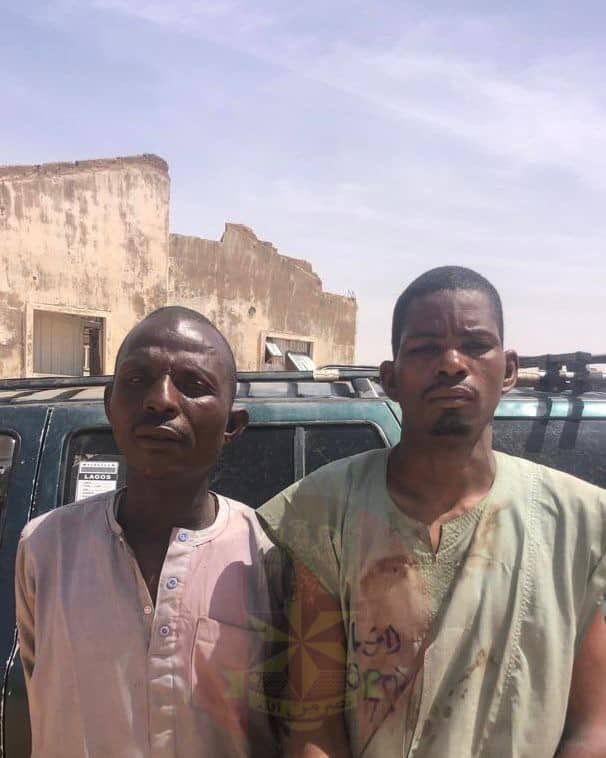 Troops neutralise 4 terrorists in Northeast