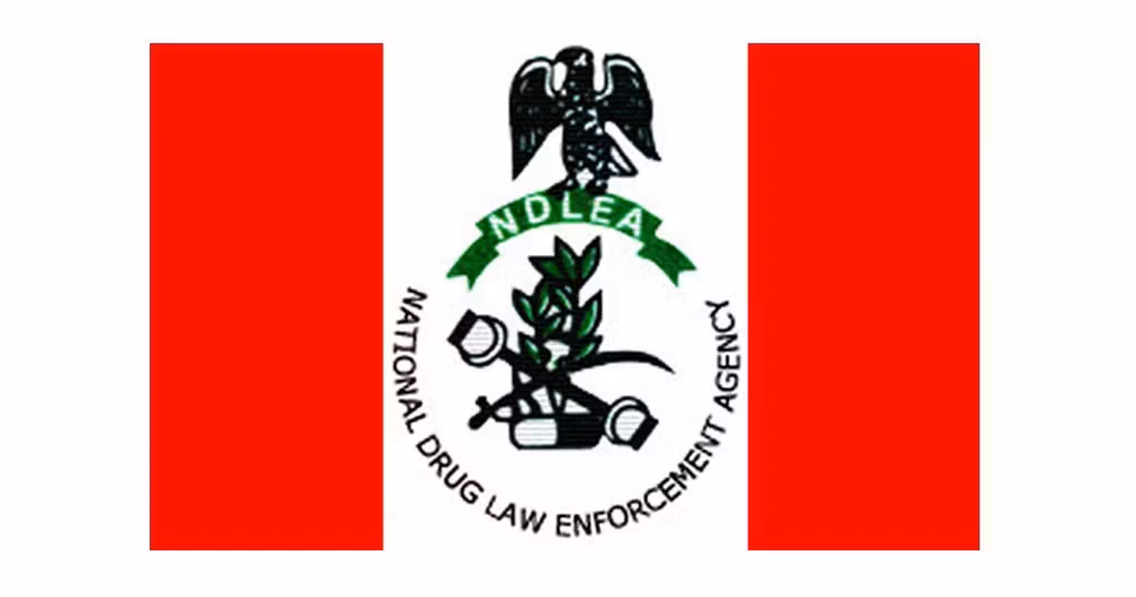 NDLEA dismantles industrial-scale Meth lab in Oyo forest, arrests Mexican, four others