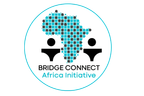 Bridge Connect Africa launches North-West youth development agenda