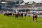 Horse Racing Federation tightens anti-doping measures with NDLEA partnership