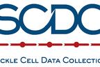 Plateau establishes sickle cell registry to strengthen data collection, planning