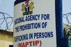NAPTIP rescues 96 trafficked Benue children, reunites 84 with families