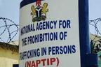 NAPTIP intensifies anti-trafficking campaigns in Jigawa