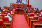 Senate suspends probe of PFIPC budget allocation