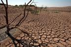 Rising temperatures could wipe $20bn from African economies — AfDB Warns