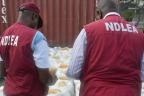 NDLEA dismantles 6 drug black spots in Jigawa
