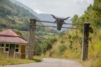 Obudu Ranch: C’River conducts test flight at Bebi Airstrip in Obanliku