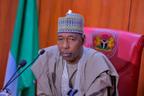After Government House: What next for Zulum?