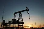 FG approves 6 oil marketers to import PMS
