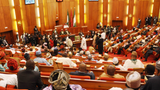 Senate urges joint effort to address out-of-school children crisis in Nigeria