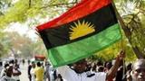 Woman cries out after IPOB terrorists murder family, target Son