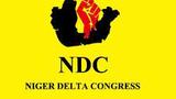 Lagos NDC excos feud over conduct of primaries, results