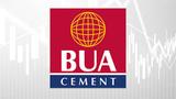 BUA Cement shareholders approve ₦338.64bn dividend payout