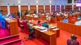 Data Protection Act scales 2nd reading in Senate