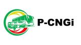 FG didn’t give directive for CNG pump price increase – P-CNGI