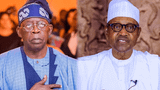 Why Buhari-Tinubu bond remains unshaken, a ‘nightmare’ for opposition — Presidency