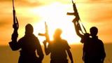 Gunmen attack NUJ Secretariat in Damaturu, Policeman shot