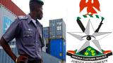 Customs intercepts container of 10,603 donkey denitals Along Kaduna–Abuja Expressway