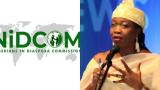 $600m monthly diaspora remittances signal success of CBN reforms in Nigeria – NIDCOM