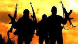 Gunmen kill 27 farmers, raze homes in deadly Plateau attack