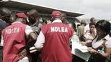 NDLEA recovers $17.7million travelers’ cheques in children books
