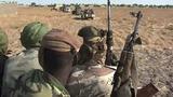 Miyetti Allah vigilantes, bandits clash in deadly gunfight in Plateau forest