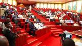 Senate launches probe into ponzi schemes, orders public hearing on CBEX