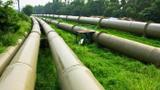 Oil Marketers decry 15% petrol import duty as anti-deregulation policy