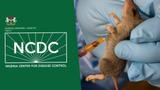 NCDC confirms 922 Lassa fever cases, 221 deaths nationwide