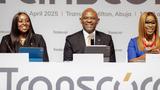 Fear, hesitation hindering progress of Power sector despite Tinubu’s good intentions — Elumelu