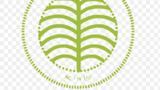 Presco Plc doubles revenue, posts N113.2bn pre-tax profit for 2024