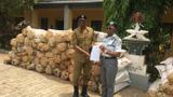 Customs hand over intercepted 1,400kg suspected cannabis sativa to NDLEA