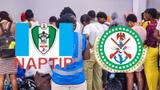 NAPTIP, DIA bust suspected trans-border human trafficking syndicate, rescue 20 victims
