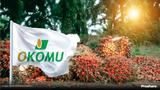 Okomu Oil grows Q3 pretax profit by 49% to N17bn