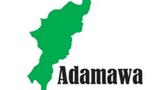 Adamawa Poly shuts down as students storm streets over 3-month power outage