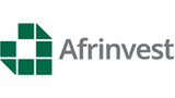 Nigeria needs 21.9% annual GDP growth to hit $1trn economy by 2031 — Afrinvest