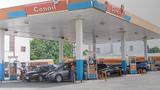 Conoil proposes ₦3.50 dividend for 2024