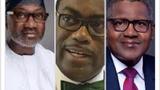 Why FG must support Dangote — MAN, Otedola, Adesina speak out