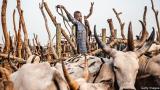 Kwara to prioritise education for herders’ children to end insecurity
