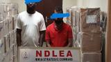 Indian, 3 Nigerians arrested over N3.99 Billion tramadol seizure