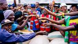 Ogun harvests 200-hectare rice plantation, joins league of rice producing states
