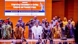 Frivolous appeals, technicalities undermining anti-corruption efforts — Tinubu