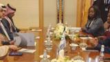 Nigeria, S/Arabia, deepen ties on solid mineral exploration
