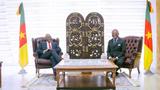 At Cameroon Economic Meeting, Elumelu pushes for strategic partnership to boost Africa’s economy