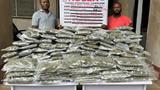 NDLEA seizes 14,440kg skunk, arrests Lagos kingpin