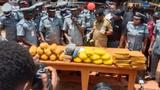 Customs Command seizes 3,699 parcels of cannabis sativa in Ogun