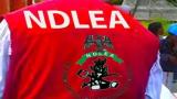 NDLEA intercepts large cocaine consignment concealed in heads of dry stock fish